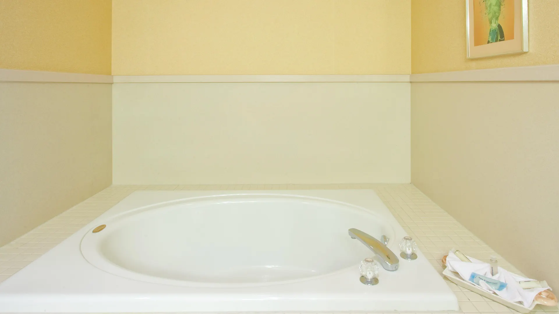 Holiday Inn Express Hotel & Suites Clearwater Us 19 North By Ihg